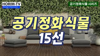 공기정화식물 15선, 숲 전문 HORIM-TV