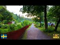 Stockholm, Sweden 🇸🇪 | Walking in the Rain | Nature, Årstaviken, Sunset, Ambiance | 4K