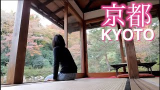 【京都旅：Trip to Kyoto, Japan】歴史の町、京都を観光！Exploring Historical City of Kyoto!