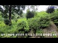 부동산백화점 520.강진군토지매매 강진군임야매매 강진군부동산 강진주작산아래토지 강진캠핑장부지 강진사찰부지 강진군땅매매 강진전원주택부지 전남산아래토지 전남캠핑장부지 전남토지매매