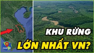 Bạn Có Biết KHU RỪNG Nào Mới Là LỚN NHẤT Việt Nam? | Khám Phá Việt Nam | Thánh Map