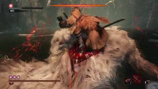 Sekiro 隻狼：獅猿 苦難厄憑