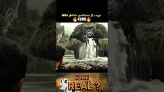 Skull தீவின் தனிக்காட்டு ராஜா Kong 😱😱😱 #movieexplaintamil #kong #fakeorreal #movie