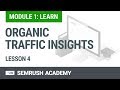 Module 1 Lesson 4 - Organic Traffic Insights