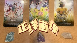 【女侠】大众占卜🔮：正缘画像（timeless）