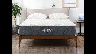 Mlily Orth  10.5