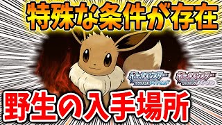 【ポケモン ダイパリメイク】絶対知るべき野生のイーブイを入手する特殊条件と入手場所【ブリリアントダイヤモンド・シャイニングパール／攻略/BDSP/ポリゴン/ポケモン屋敷/自慢の裏庭】