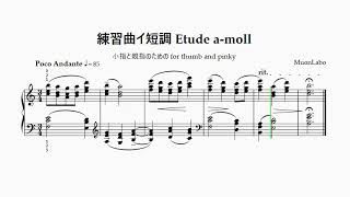 Etude in a-moll 練習曲イ短調