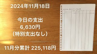 【家計簿】2024年11月18日 今日の支出/モナカアイスが好きです。最初に発明した人を思い浮かべながら、モナカアイスを食べる私です。バニラアイスに製菓用ブランデーを足して食べるのも美味しいです。