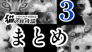 【不思議な話】【しずかな女声怪談朗読】【猫が語る不思議な話】【猫動画】【怪談朗読】　猫の目怪談　まとめ3