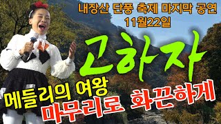 고하자 품바 내장산 단풍 축제 마지막 공연영상 일요일 영상