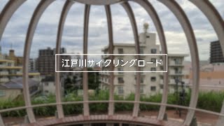 【サイクリングコース】江戸川サイクリングロード① 妙典橋～右岸～みさとの風ひろば（ノーカット 倍速 44km)