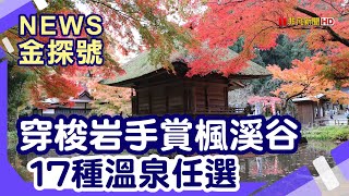 日本東北賞楓|岩手 猊鼻溪 中尊寺 金色堂 毛越寺 嚴美溪 前沢牛オガタ駅東店 世界遺產隱宿果實之森旅館