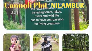 NILAMBUR CANNOLI PLOT TRAVEL VLOG@LAMIS TRAVEL VLOG