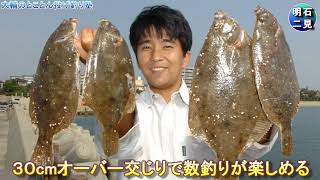 兵庫・明石のカレイ釣り場はココ‼︎ ファミリーからベテランまで大満足‼︎ 投げ釣りで狙う乗っ込みガレイ（キス釣りも楽しめます‼︎）