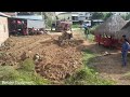 drop the dirt in front of the home adjacent to the road to bury the pillars in front of the steps.