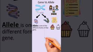 Difference between allele and gene #genetics #biotechnology