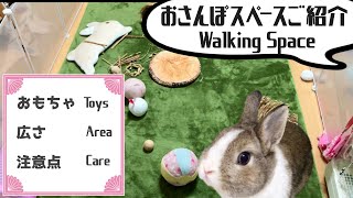 Preparing to walk the rabbit indoors [n°125]