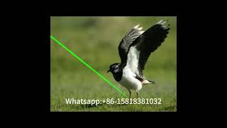 Handheld Laser Bird Deterrent Portable, Green Laser Fat beam, Rechargeable Batteries