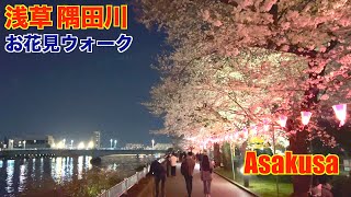 【4K】Asakusa | Cherry Blossom | Sumida River | Tokyo Walk | 浅草 隅田川 | 隅田公園 桜まつり | スカイツリーと夜桜 | お花見