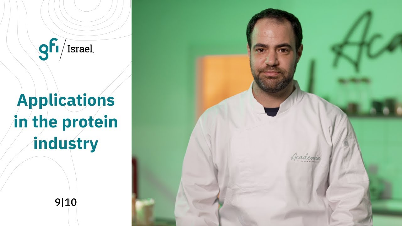 Methylcellulose In Protein Key Functionalities And Properties That Are