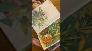 My Longest Running Sketchbook Ever: Watercolor Illustrations