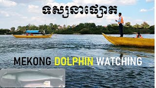 ទស្សនាផ្សោត នៅកាំពី || ENDANGERED MEKONG DOLPHIN WATCHING || Irrawaddy Dolphin