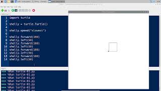 The Easiest Way to Learn Python - Turtle on Raspberry Pi