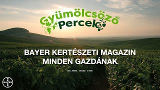 Gyümölcsöző Percek / 7. adás