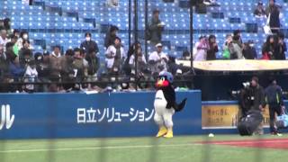 試合開始前の明治神宮野球場に「つば九郎」が登場！