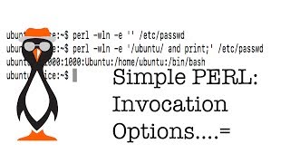 Simple PERL Invocation Options