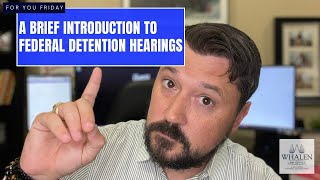 A BRIEF Introduction to Federal Detention Hearings
