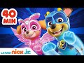 PAW Patrol, Patrulla de cachorros | 40 minutos de los episodios MÁS NUEVOS | Nick Jr. en Español