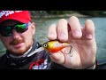 🎣 perch pro 6 cwc fishing team compilation 🎥 vissen op roofvis perch fishing kunstaas 16