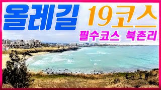 제주도 올레19코스 WITH 북촌리 너븐숭이 기념관