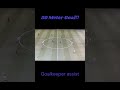 50 meter goal football viral fifa