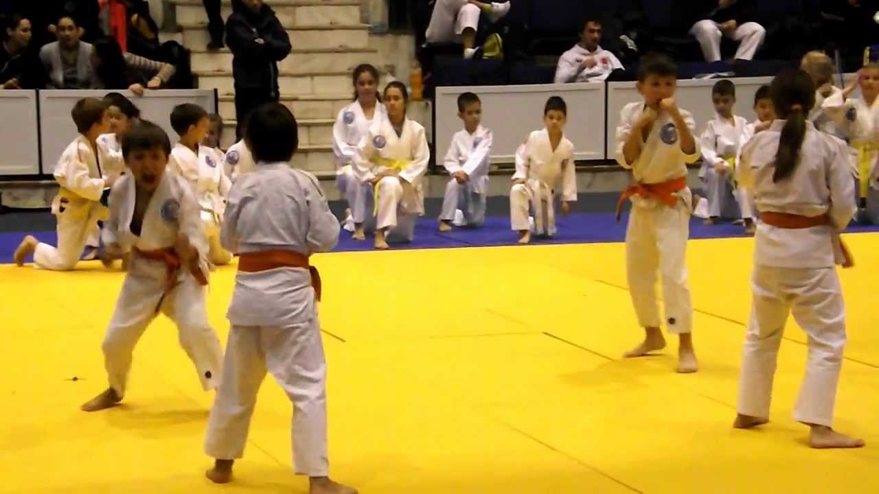 Budo Seishin World Ju-Jitsu Championship Romania 2013 - YouTube