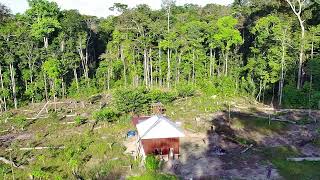 Chalet in the Amazon rainforest