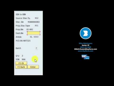 RF Transaction Bin to Bin by Material Demo RF Transaction Bin to Bin by Material Demo