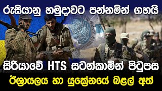 රුසියානු හමුදාවට පන්නමින් ගහයි...සිරියාවේ HTS සටන්කාමින් පිටුපස බළල් අත්