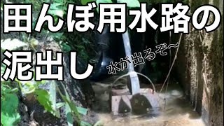 田んぼ用水路の泥をかき出す。水がたまって稲もカエルも喜ぶ〜