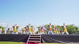 [4K] SAIKA －菜花－　犬山踊芸祭 2018 石作公園メイン会場