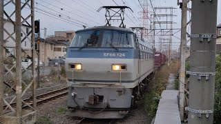 [スーパーライナー] 11月28日小田栄駅 吹田A11運用 66レ EF66 124