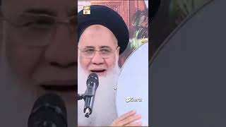 Sab Se Aula O Aala Hamara Nabi - Naat e Rasool ﷺ By Prof. Abdul Rauf Rufi #shorts
