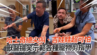 獸醫搞笑示範各種寵物剪指甲：哈士奇總尖叫、吉娃娃超可怕😂｜模仿｜維妙維肖｜精選影片