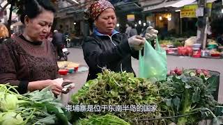 柬埔寨农村，这就是当地女人的真实生活情况，看完让人心疼！