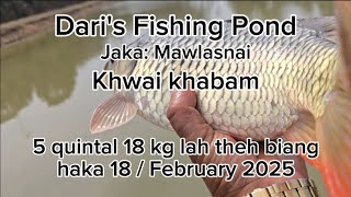 5 quintal 18 kg lah theh biang haka 18/February/2025 ha Dari' Fishing Pond 🐬🐬🐬🐬🐬🐬🐬🐬🐬🐬🐬🐬🐬