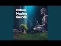 Release Negative Energy