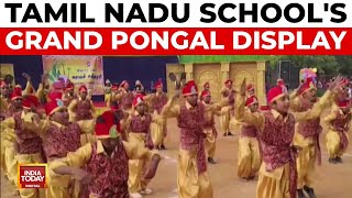 Tamil Nadu Students Showcase Rich Cultural Heritage in Pongal Celebrations | India Today