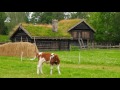 4k beautiful norway village life and landscapes stock footages